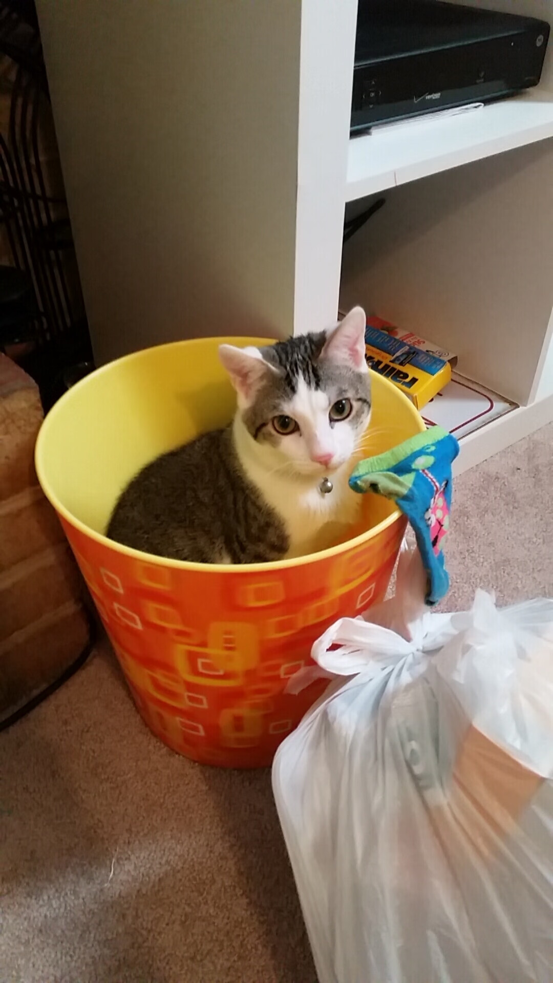 职业联赛竞争结构需优化调整，职业联赛的要求